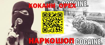стафф Обь