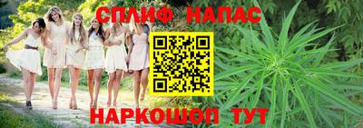 стафф Обь