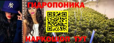 метадон Новокубанск
